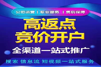 探索SEM竞价代运营公司的服务流程与效果